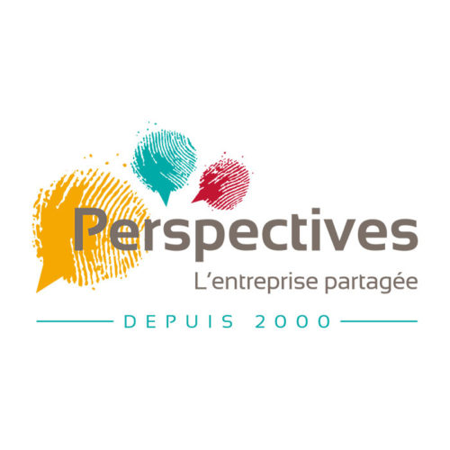 LOGO PERSPECTIVES 700